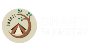 DHARTI_1_-removebg-preview