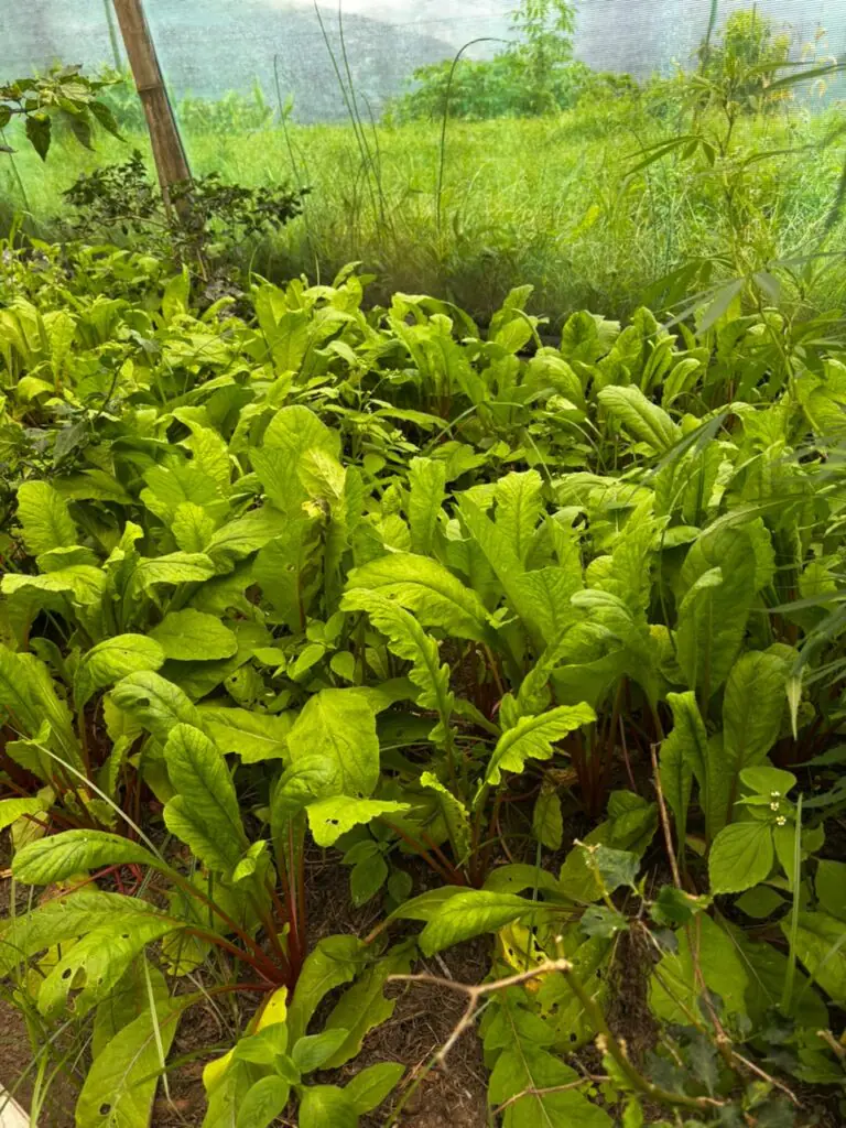 WhatsApp Image 2026-07-24 at 2.20.53 PM